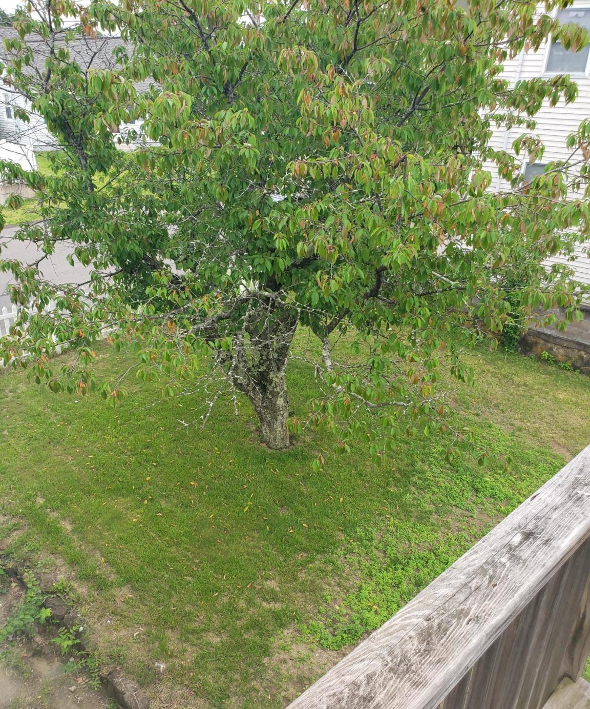 /static/images/house/12445/ce7e479764fd96659cb88430133e5d68.jpg