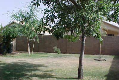 /static/images/house/14104/d4463f98c843c98fde52ed77ffe5c27b.jpg