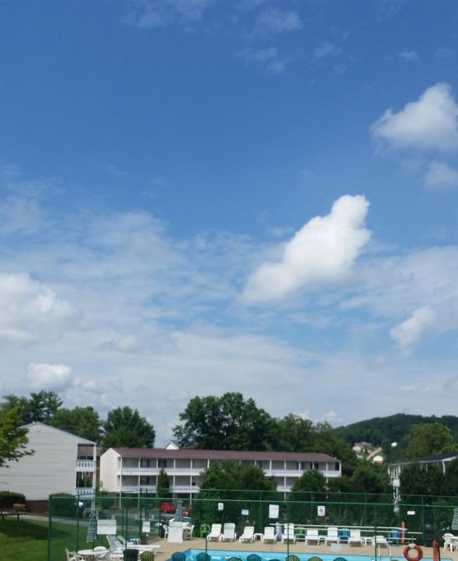 /static/images/house/16181/c4aeab1c370761d9d4d3556b6fb28782.jpg