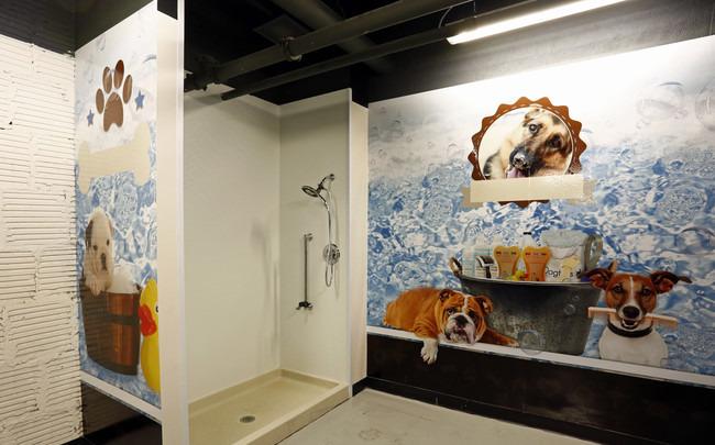 /static/images/house/18077/e9fbd48b35740a22bb65e9911e70028c.jpg