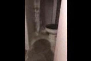 /static/images/house/36321/4a6bef6ab5b9132cb6c89fc1b1df2574.jpg